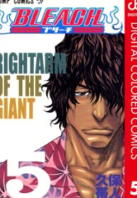 Bleach – Digital Colored Comics