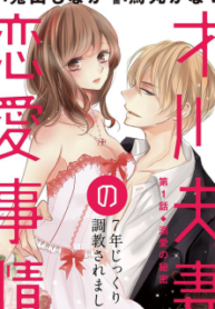 Saikawa Fusai No Renai Jijou – Nananen Jikkuri